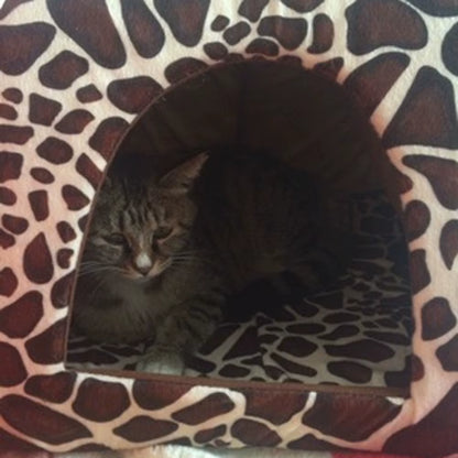 Soft Strawberry Pet Dog Cat House Kennel Doggy Fashion Cushion Basket Pet Tent Dog House Small Dogs Kitten Bed Cat House